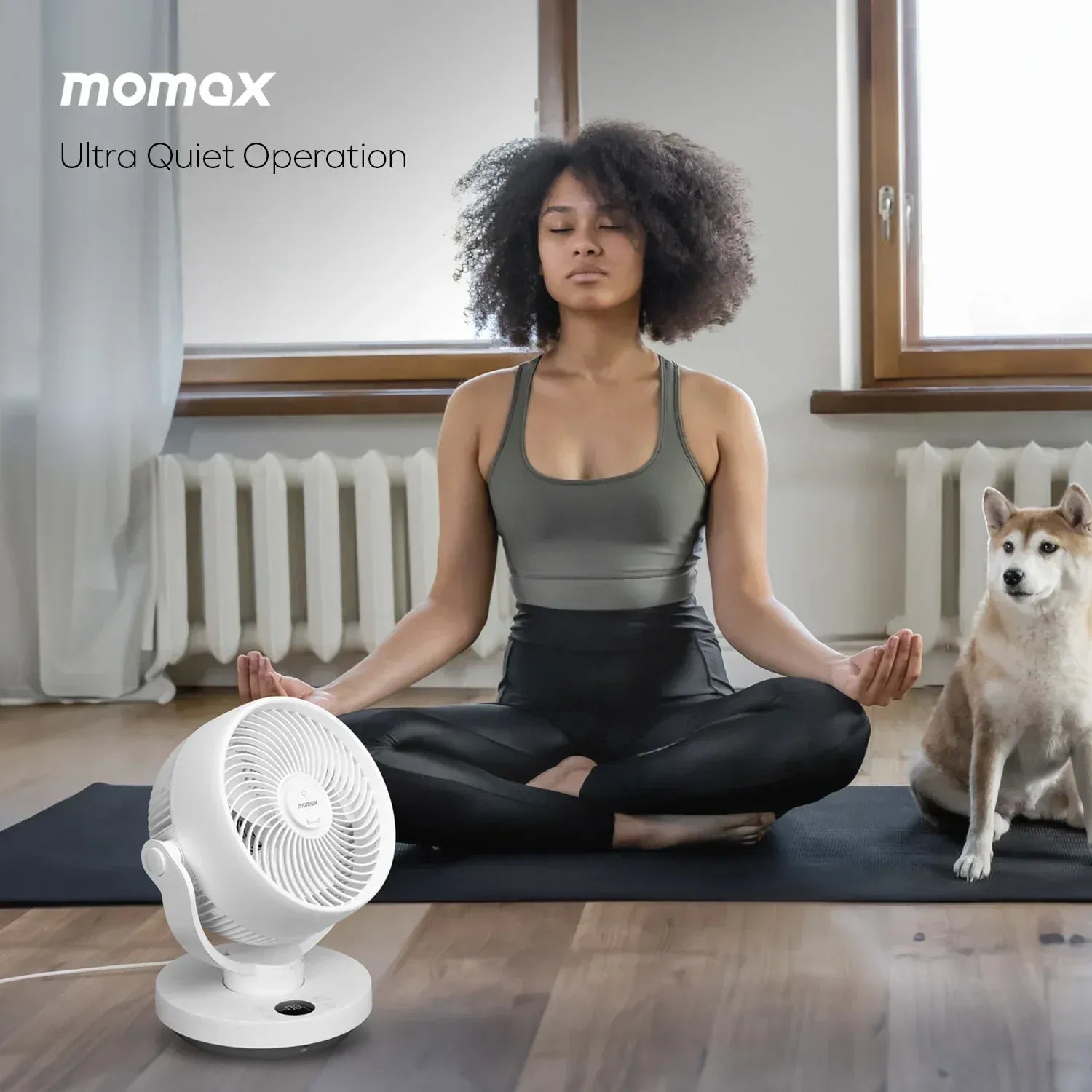 Momax Airoma 3d Air Circulation Diffuser Fan (If16) Momax Airoma 3d Air Circulation Diffuser Fan (If16)